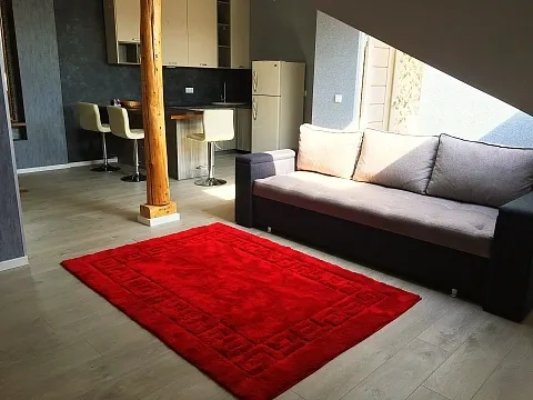 1-кімнатна квартира подобово у Ужгороді, вул. Капітульна, 28 — 1001011027