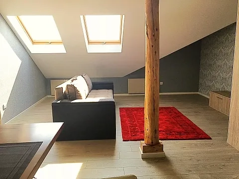 1-кімнатна квартира подобово у Ужгороді, вул. Капітульна, 28 — 1001011027 