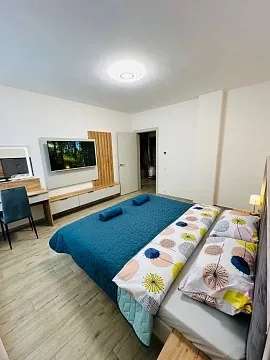 2-кімнатна квартира подобово у Ужгороді, вул. Капушанська, 108 — 1001657806