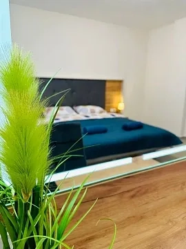 2-кімнатна квартира подобово у Ужгороді, вул. Капушанська, 108 — 1001657806  