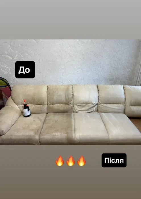 Миючий пилосос Karcher Puzzi 8/1