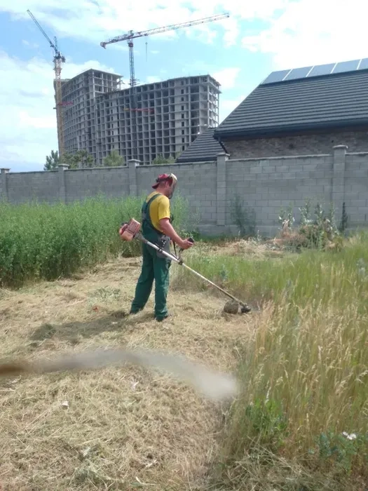 Скосимо траву, очерет, бур'ян. Прибирання ділянок та територій. Якість.
