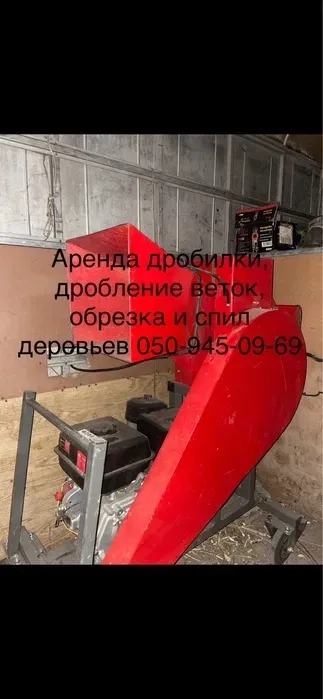 Обрізка та спил дерев, подрібнення гілок дробілкою, вивіз сміття