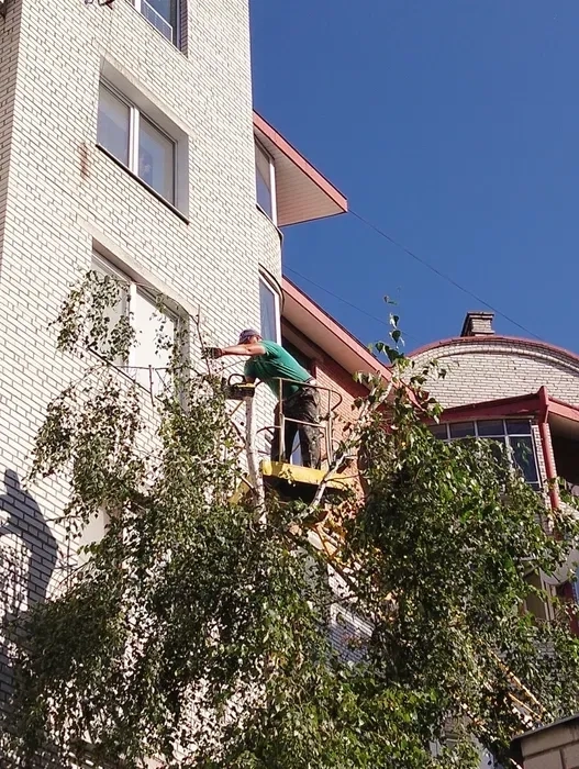 Чистка ділянок! Зрізання дерев! Косіння трави!