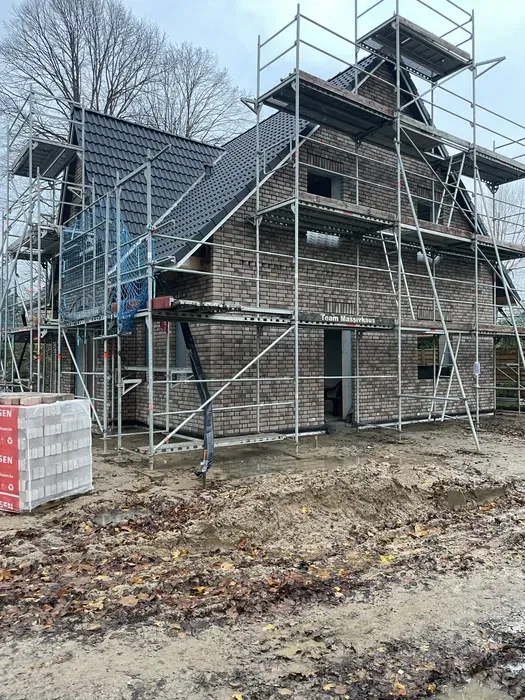 Ліса будівельні риштування