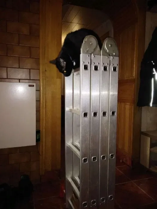 Драбина / лестница INTERTOOL LT-0029