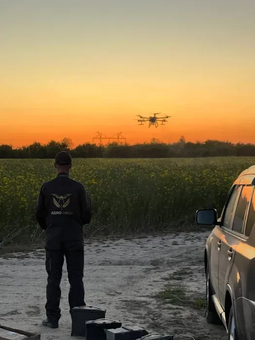 Послуги АГРОДРОНІВ.Десикація кукурудзи