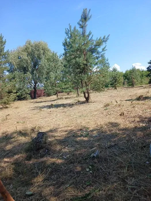 РОЗЧИЩЕННЯ ДІЛЯНКИ, Прибирання території, ПОКОС, СПИЛ ДЕРЕВ, Порослі