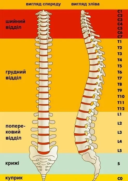 Остеопатія масаж