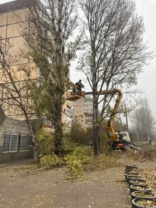 Розчищення ділянки від дерев поросли