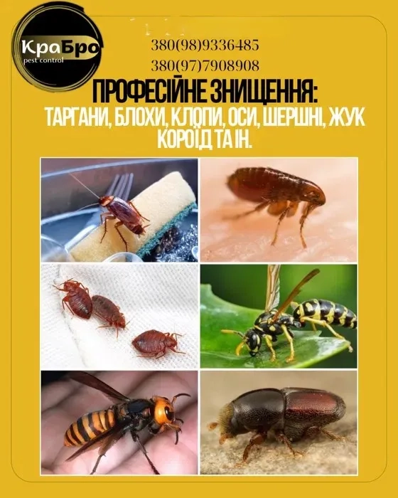 Таргани, клопи, оси, блохи, миші ін? Швидкий виїзд| Знищення шкідників