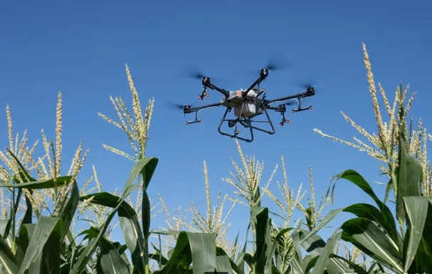 Обробка полів, внесення ЗЗР агродронами. Десикація. Посів. Гранульовані добрива.