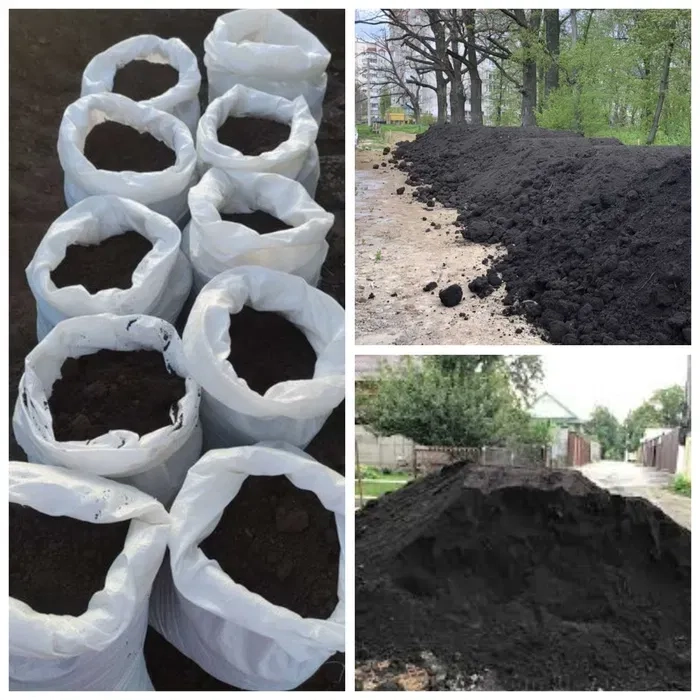 Чернозем грунт чернозём земля Доставка чернозема чорнозьом перегній