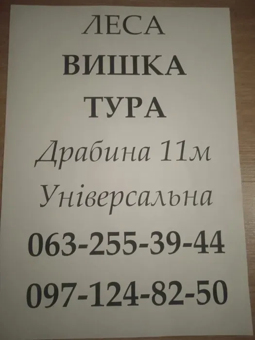 Вишкиа тура, ліса..