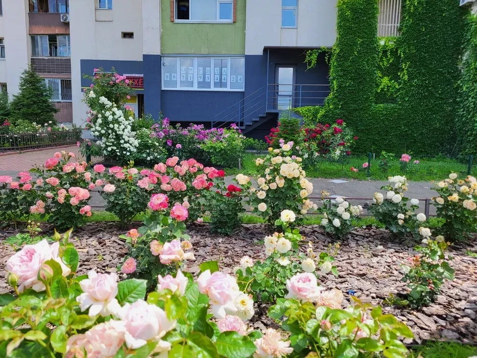 Фасадне приміщення Дніпровська набережна 13 (Березняки)