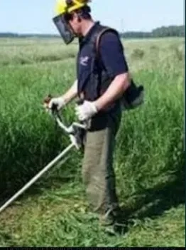 Косіння трави...