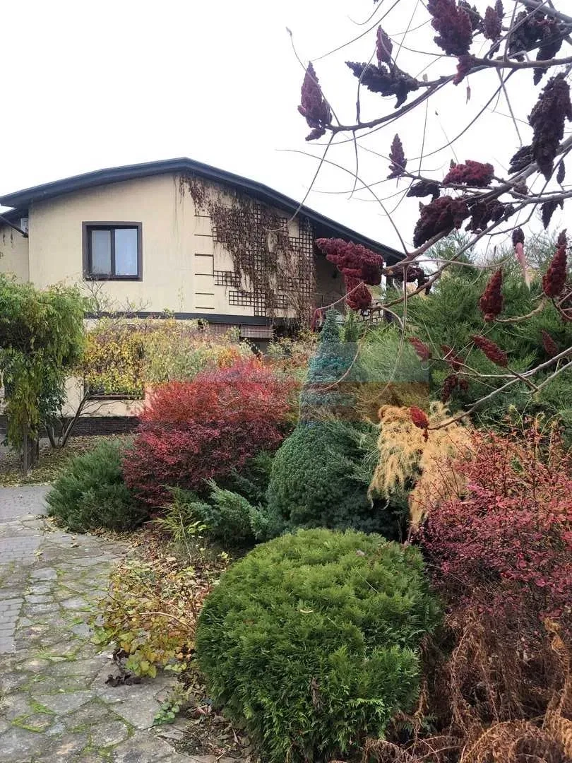 Шикарний будинок, с.Мала Олександрівка