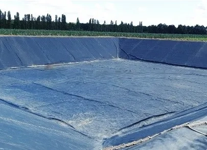 Басейни під плівкою ПВХ