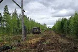 Расчистка трасс линий электропередач (ЛЭП) сучасно, ефективно з нами!