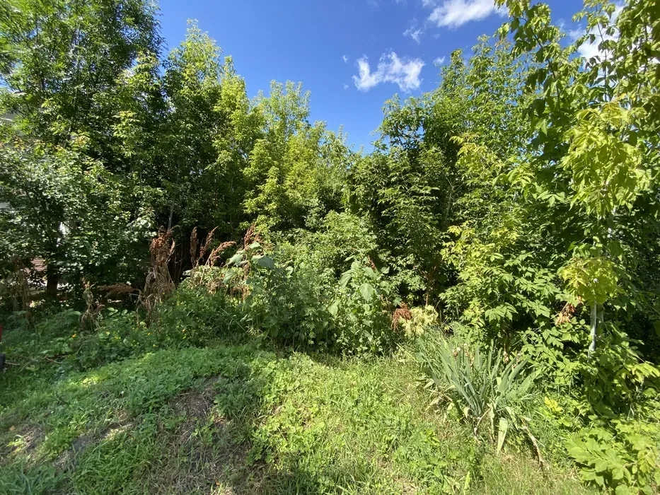 Розчищення ділянок від рослинності 10 грн.