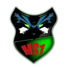 MS1 Вантажоперевезення по Запоріжжі та всій Україні