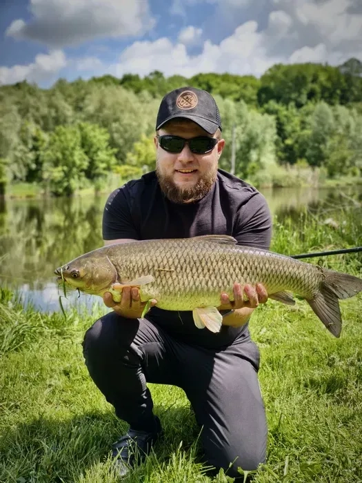 Автопідбір • Огляд Авто перед покупкою • Комп'ютерна діагностика