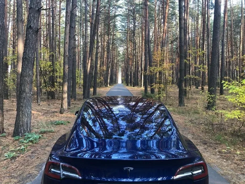 Сертифікація техогляд автомобіля США/Европа/Корея