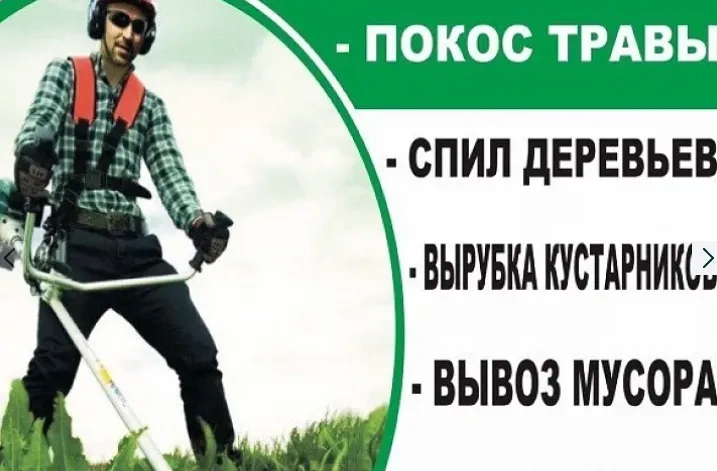 Комплексная Уборка Участков: Спил Деревьев, Кустарников, Вывоз Мусора. Быстро и Чисто!