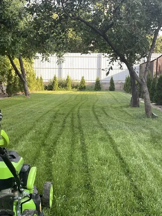 Покіс трави, спил, обріз дерев, культивація мотоблоком, дроблення гілок