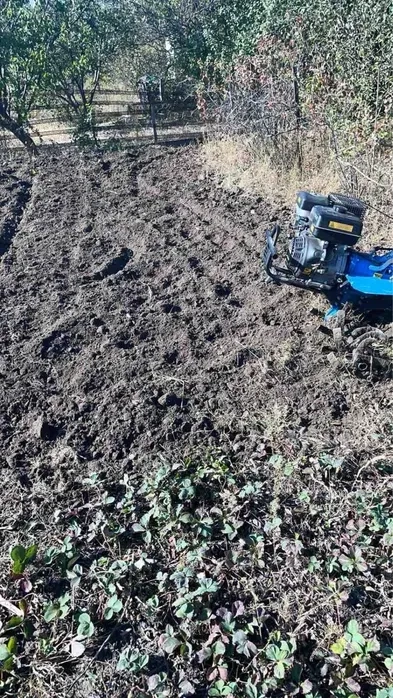 Покіс трави, спил, обріз дерев, культивація мотоблоком, дроблення гілок