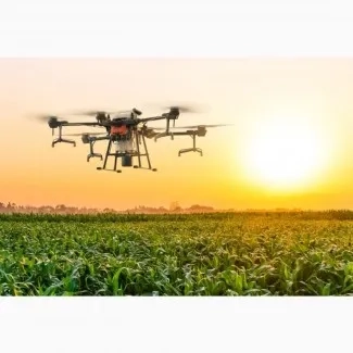 Професійна десикація посівів агродроном