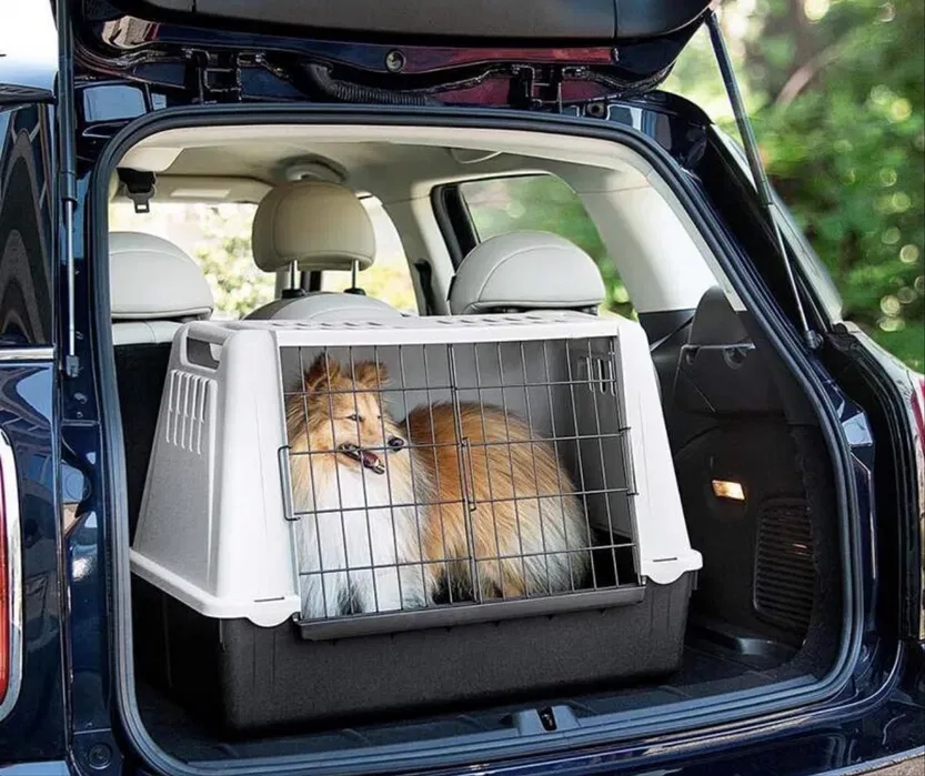 Перевечення тварин