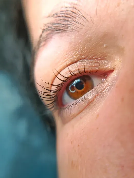 Ламінування вій + Botox 500 грн. Троещина. Ламінування брів, депіл. об