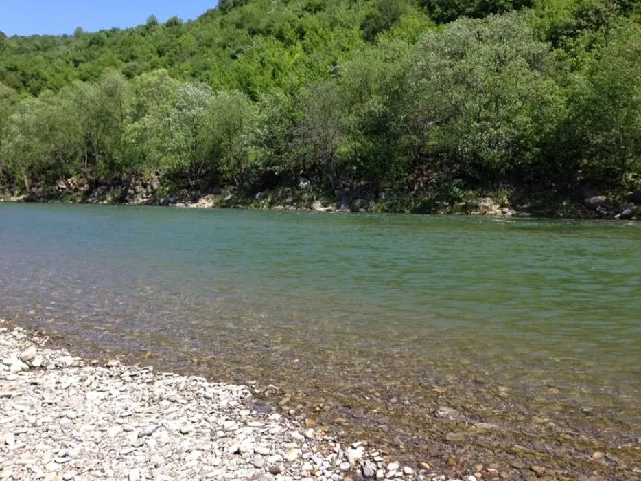 Відпочинок в Карпатах окремий деревяний еко котедж, камін. Будинок.