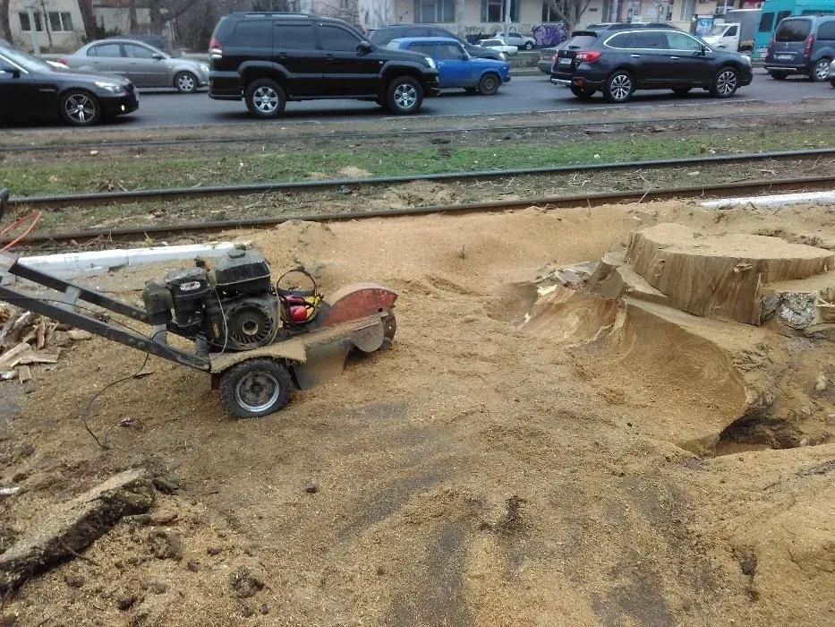 Корчевка пней. Спил деревьев. Удаление, вырезка пней фрезой