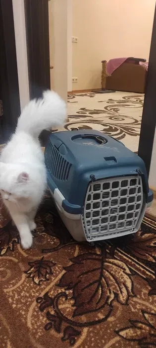 Переноска для тварин