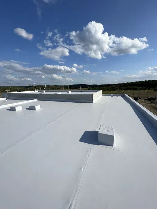 Плоска покрівля 100 грн/м2