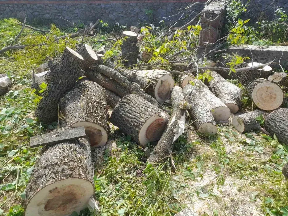 Благоустрій розчистка участка уборка покосити бур'ян зрізати дерево