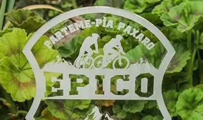 Лазерне різання, розкрий Акрилу, оргскла Код: lazer-0001