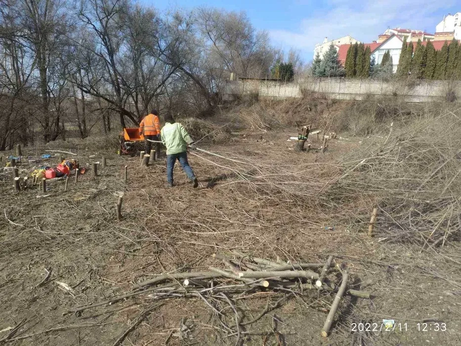 Дроблення гілок, подрібнення, прибирання ділянки, спил дерев, вивіз гілок