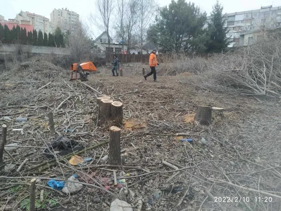 Дроблення гілок, подрібнення, прибирання ділянки, спил дерев, вивіз гілок