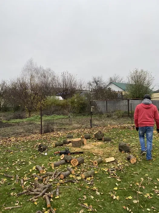 Зрубування дерев,Розпилювання на дрова,Формування крони