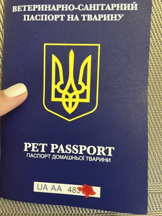 Ветеринарні документи для виїзду за кордон