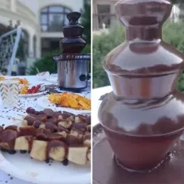 Шоколадний фонтан.