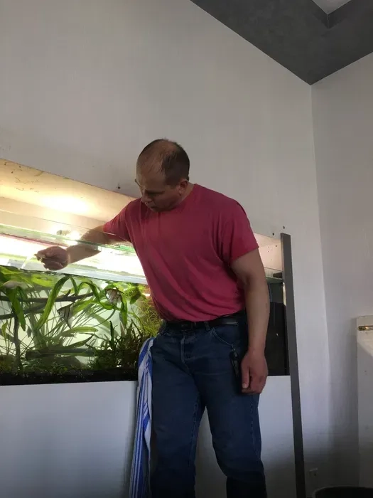 Услуги аквариумиста. Уход за аквариумом. 700 грн. Договірна