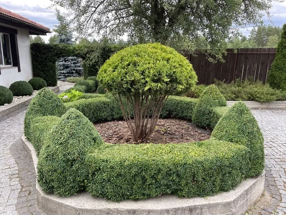 Ландшафтні роботи