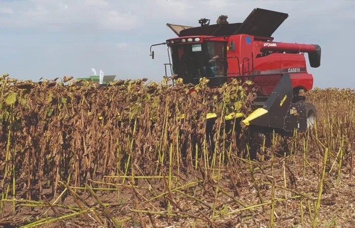 Комбайн Case 6140 з набором жаток