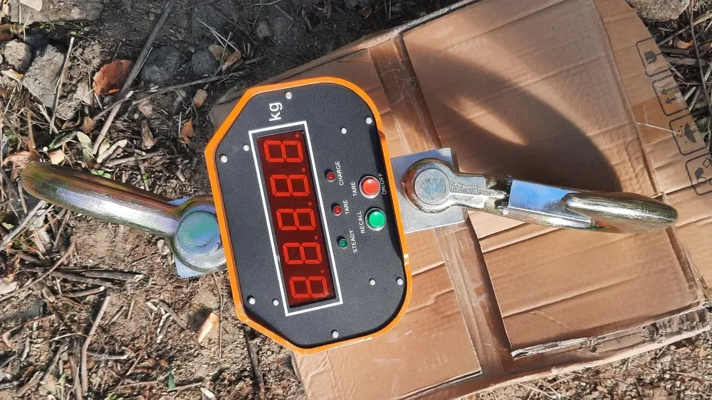 Підкранові ваги