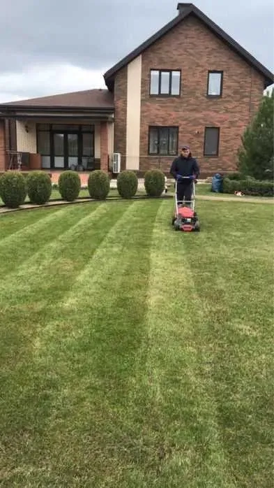 Обрізка дерев Послуги садівника Газон Посадка дерев