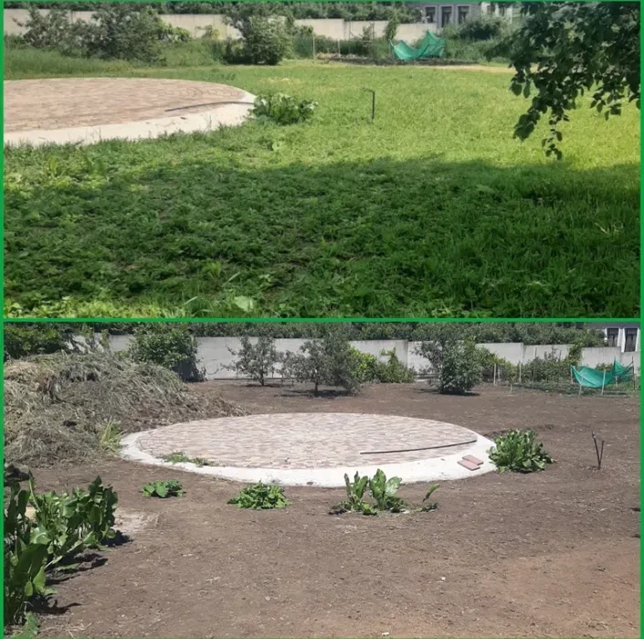 Спил дерев/розчищення ділянок/Прибирання території/розчищення ділянки